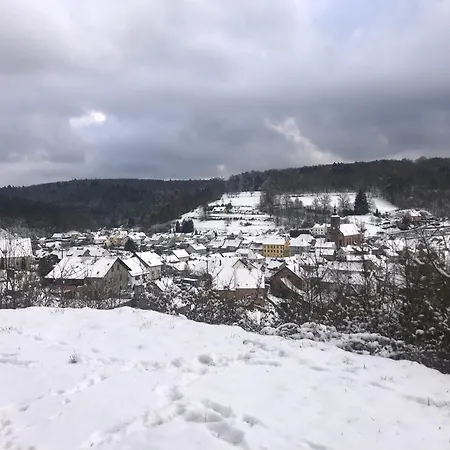 Cote Verre Apartament Meisenthal